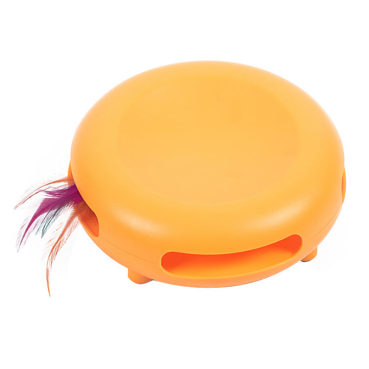 Unleash Fun with the Pet Funny Cat Turntable Sound Toys!