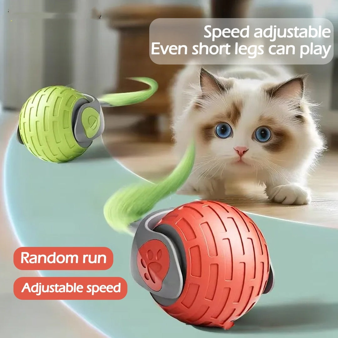 Unleash the Fun with New Interactive Cat Toys