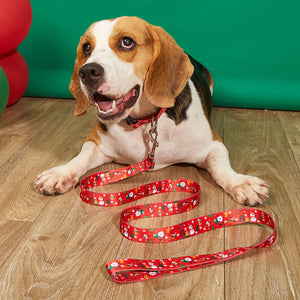 Unleash the Holiday Spirit with Our Christmas Collar Pet Hand Holding Rope Dog Leash!