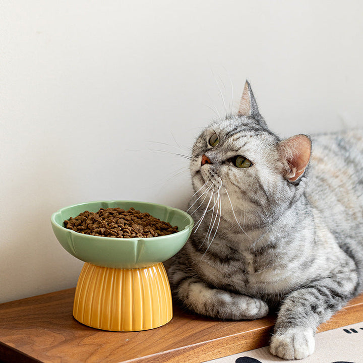 Elevate Your Pet's Dining Experience with the Macaron Candy Color Feeding Bowl!