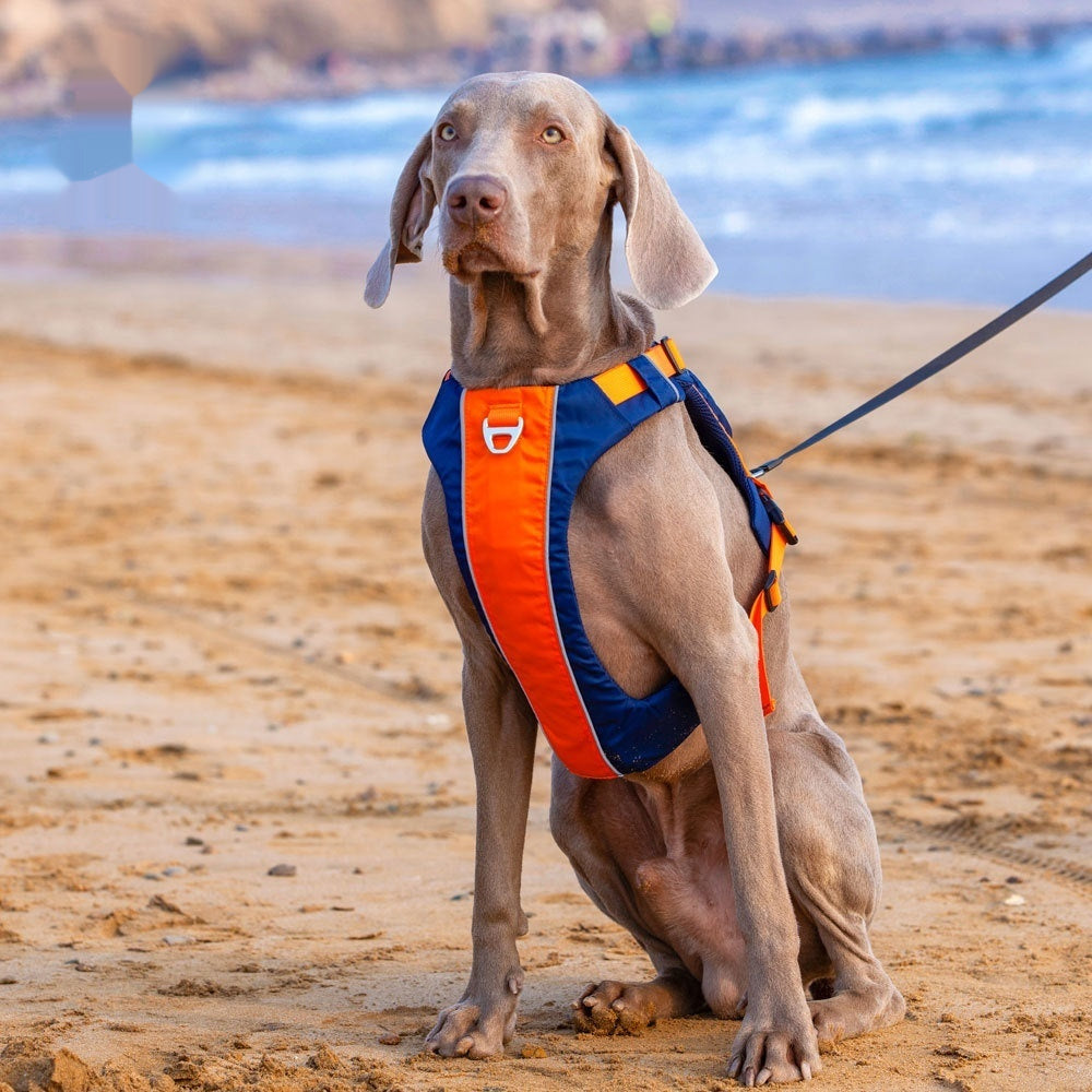 Unleash the Adventure with Our Hand Rope New Dog Chest Strap Vest!