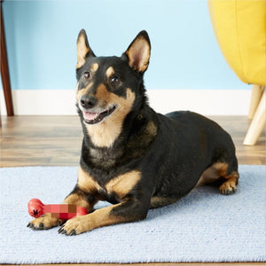 Unleash the Fun with Our Bite Resistant Dog Toys!