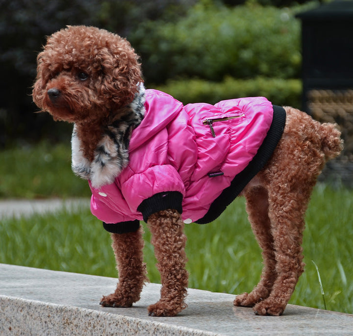 Discover the Comfort and Style of Our Zippered Cotton Padded Clothes For Pets
