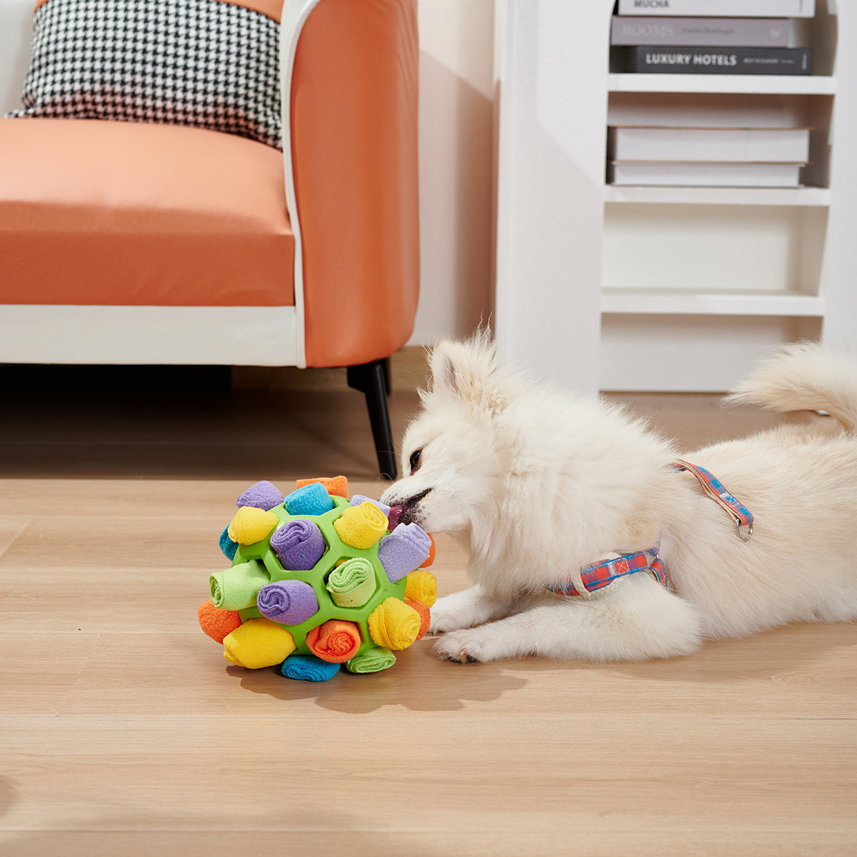 Dog Sniffing Ball Puzzle Toys