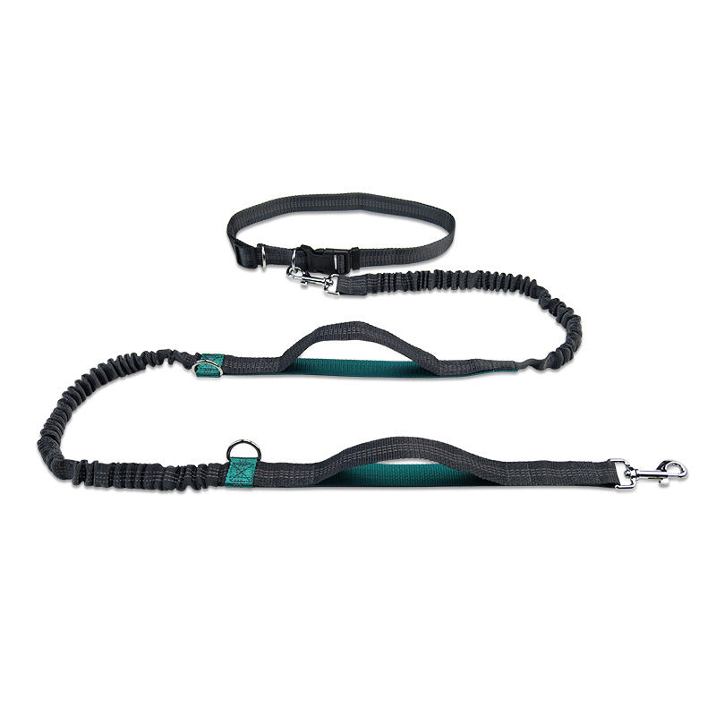 Double Telescopic Dog Leash Dog Chain Lead Rope
