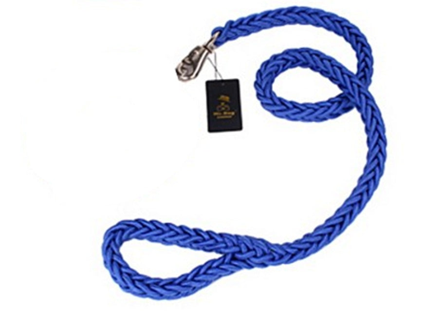 Golden retriever Alaska dog walking dog leash