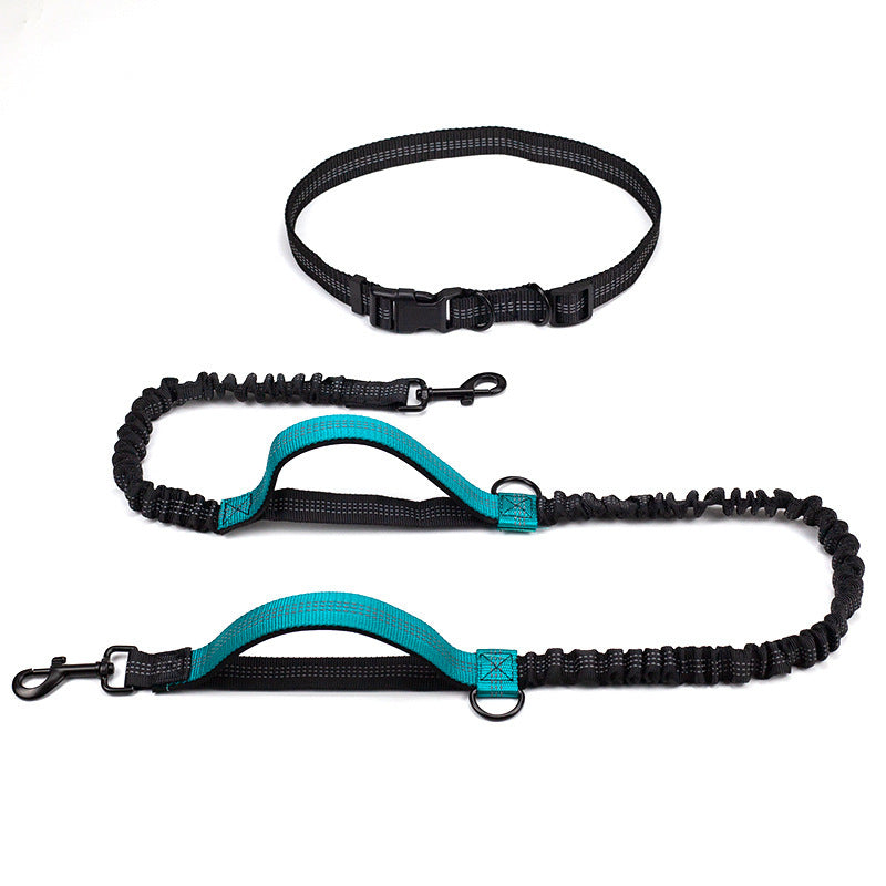 Double Telescopic Dog Leash Dog Chain Lead Rope