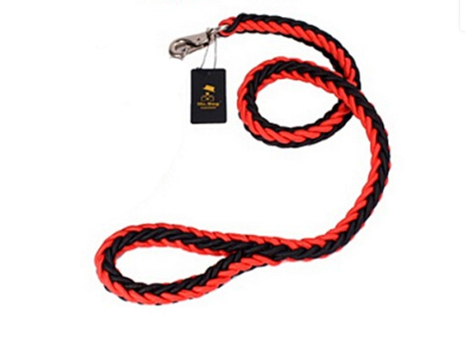 Golden retriever Alaska dog walking dog leash