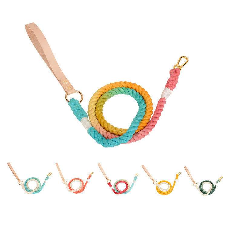 Color Pet Traction Gradient Rainbow