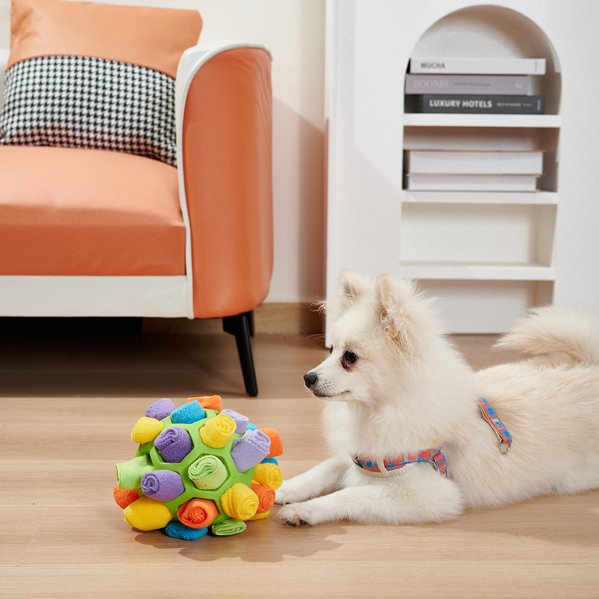 Dog Sniffing Ball Puzzle Toys