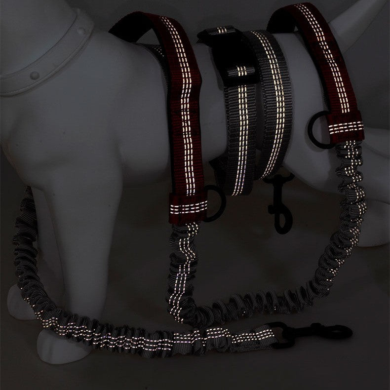 Double Telescopic Dog Leash Dog Chain Lead Rope
