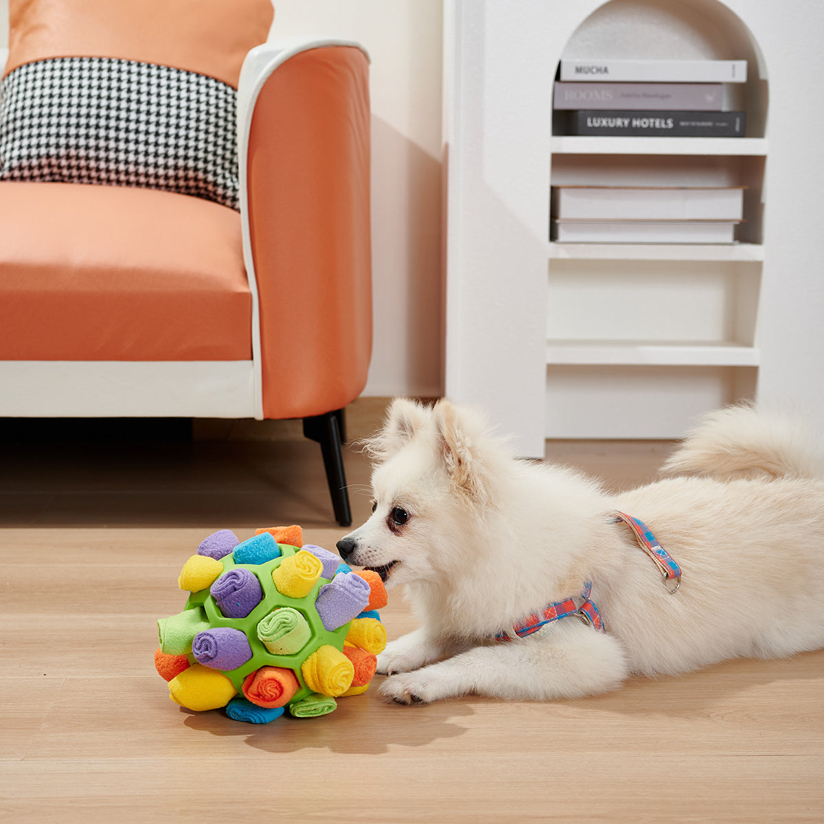 Dog Sniffing Ball Puzzle Toys