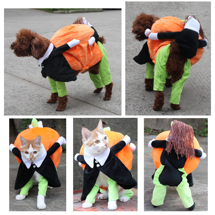 Halloween clothes for pets