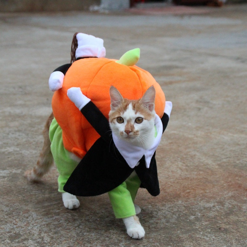 Halloween clothes for pets