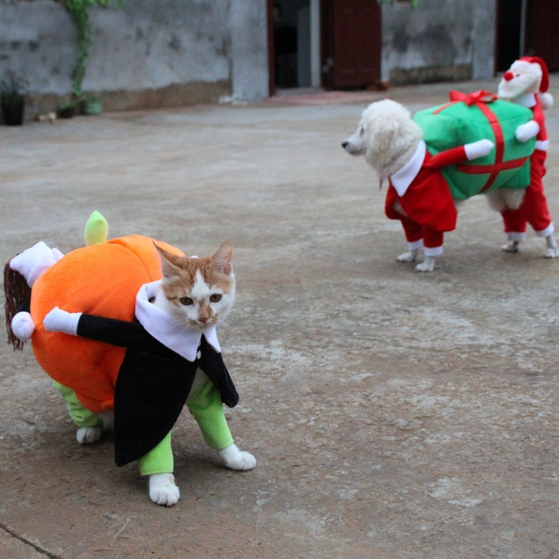 Halloween clothes for pets