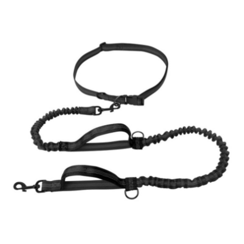 Double Telescopic Dog Leash Dog Chain Lead Rope