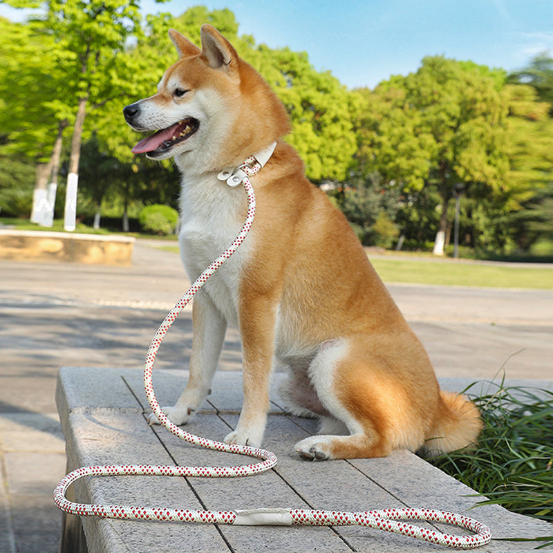 Pet Pulling Rope Puppy Strap Traction Rope