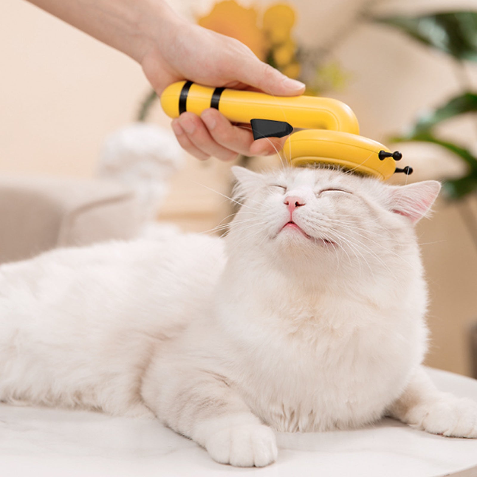 Little Bee Pet Needle Comb Cat Comb