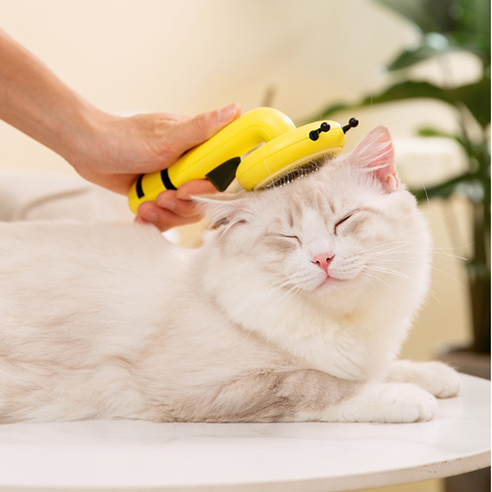 Little Bee Pet Needle Comb Cat Comb