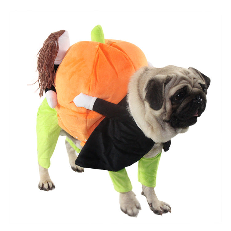 Halloween clothes for pets