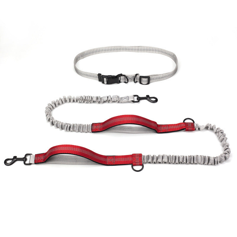 Double Telescopic Dog Leash Dog Chain Lead Rope