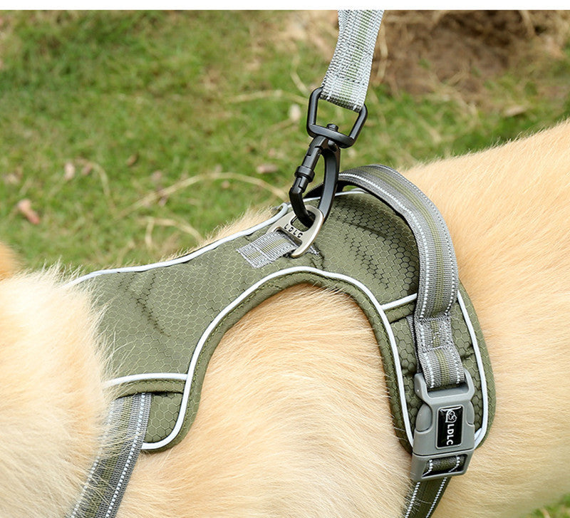 Explosion-proof Punch Elastic Retractable Dog Leash