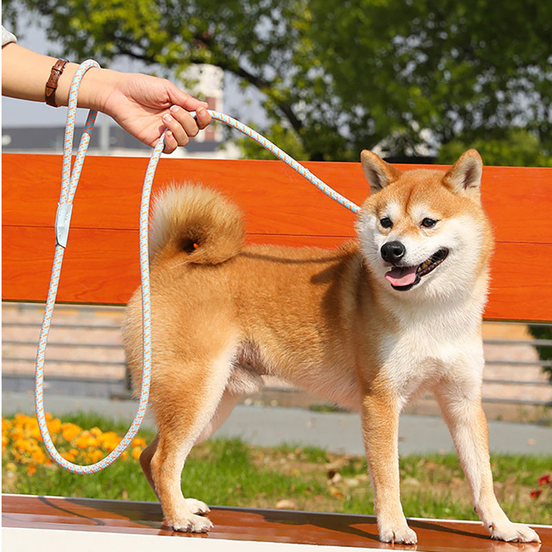 Pet Pulling Rope Puppy Strap Traction Rope