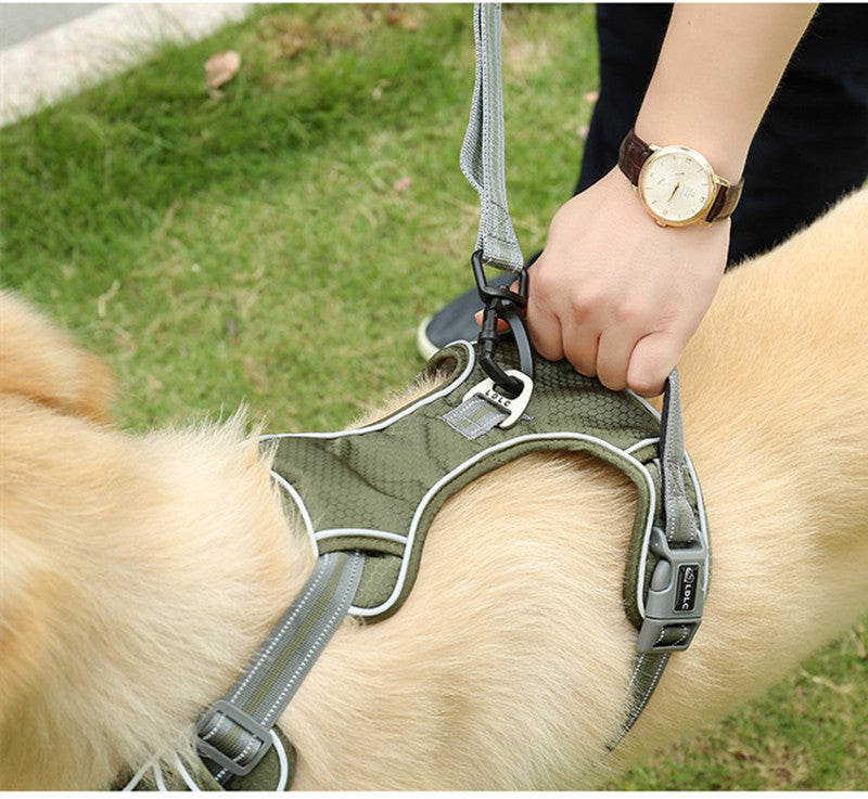 Explosion-proof Punch Elastic Retractable Dog Leash