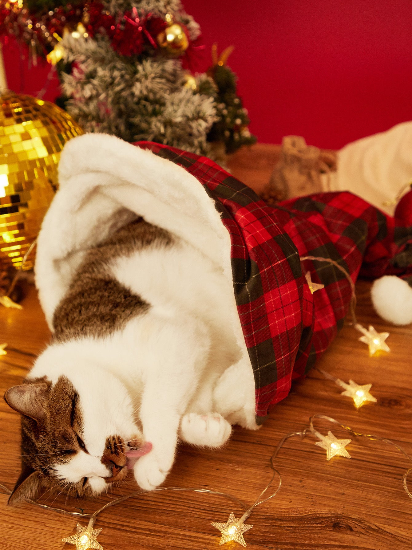 Christmas Igloo Cat House Pet Mats