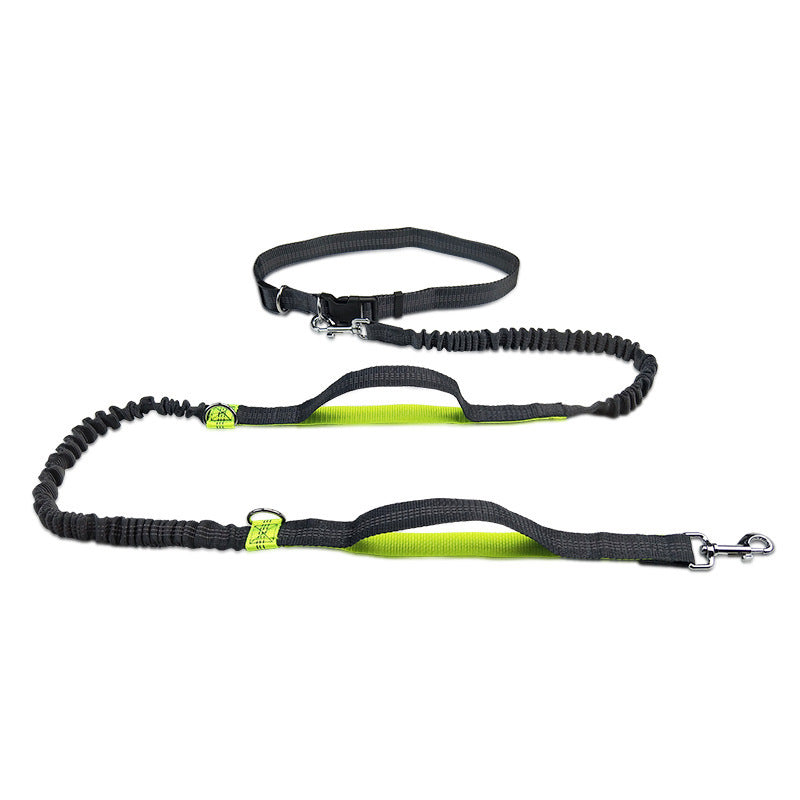 Double Telescopic Dog Leash Dog Chain Lead Rope