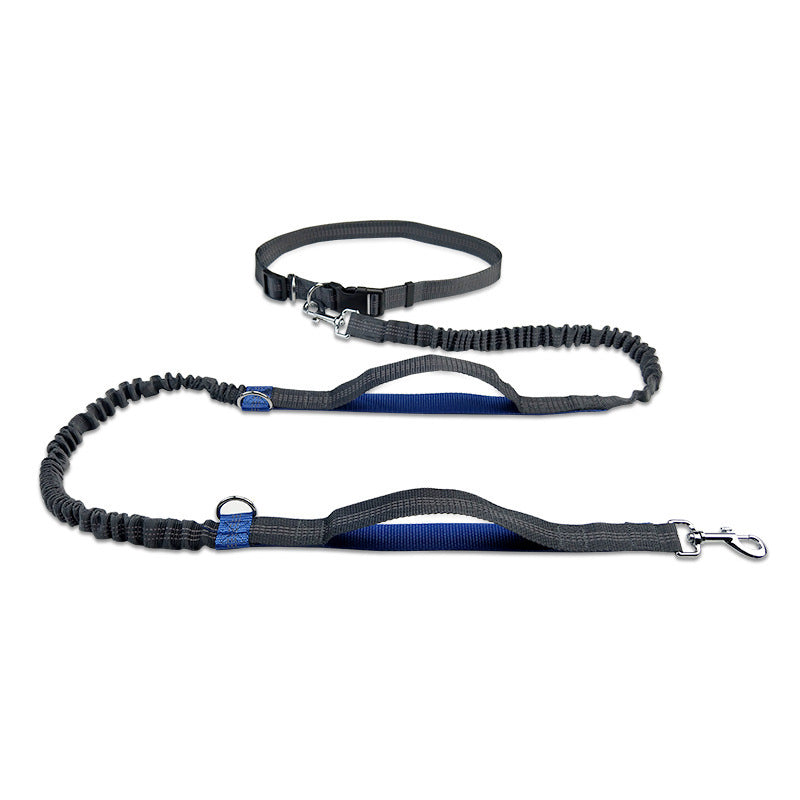 Double Telescopic Dog Leash Dog Chain Lead Rope