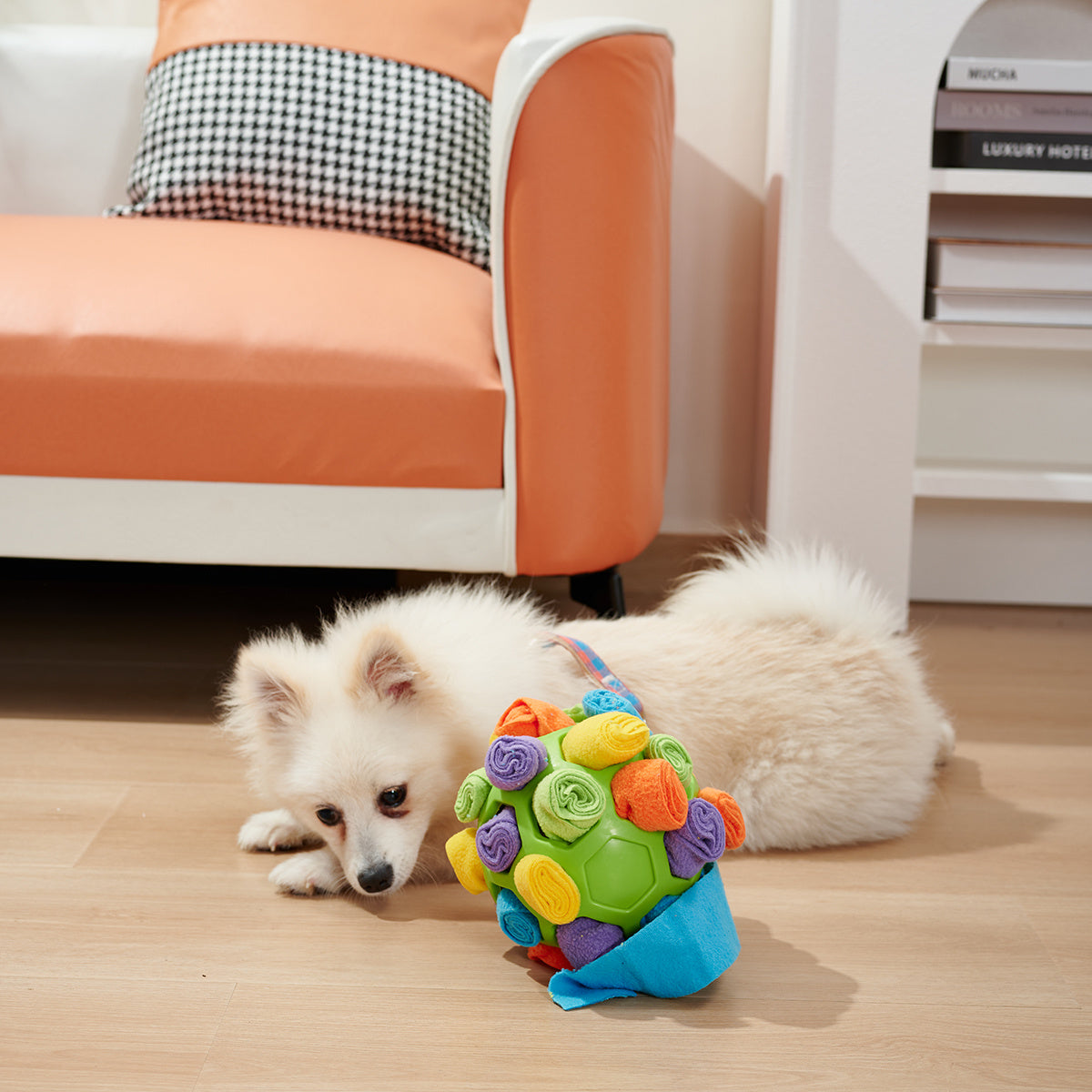 Dog Sniffing Ball Puzzle Toys