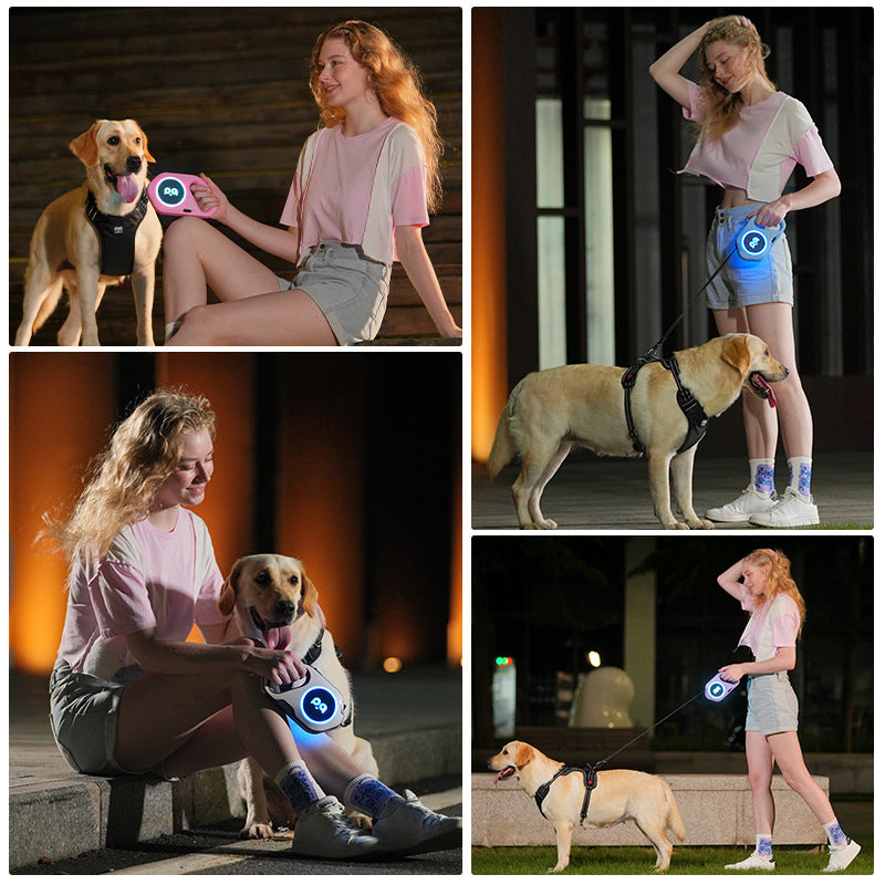 New LED Light Dog Leash