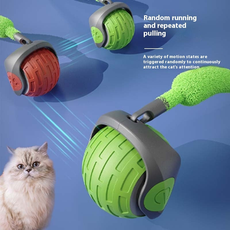 New Interactive Cat Toys