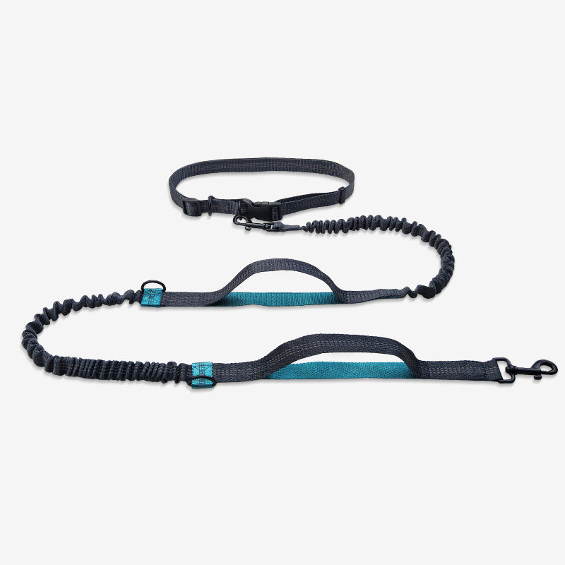 Double Telescopic Dog Leash Dog Chain Lead Rope