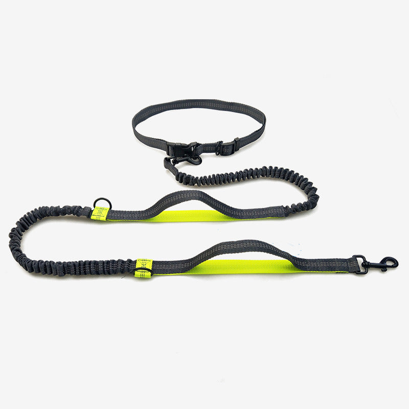 Double Telescopic Dog Leash Dog Chain Lead Rope