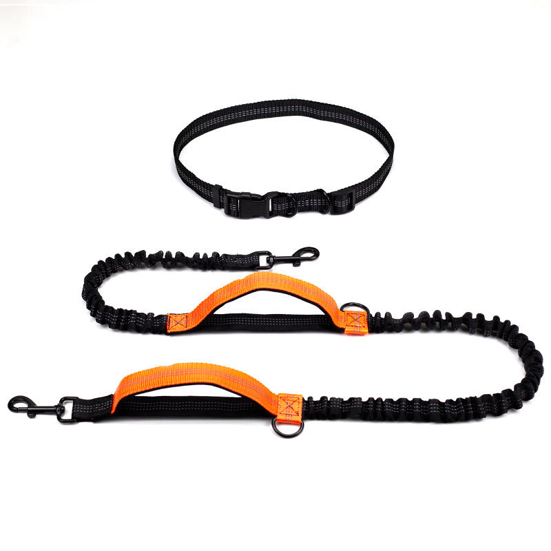 Double Telescopic Dog Leash Dog Chain Lead Rope
