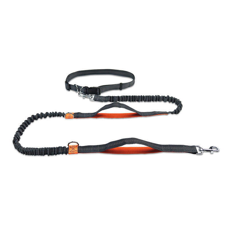 Double Telescopic Dog Leash Dog Chain Lead Rope