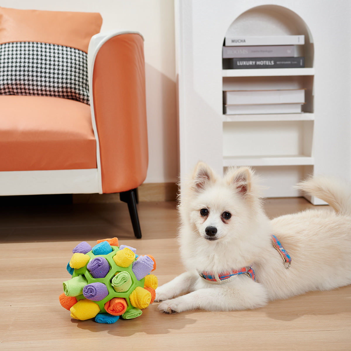 Dog Sniffing Ball Puzzle Toys