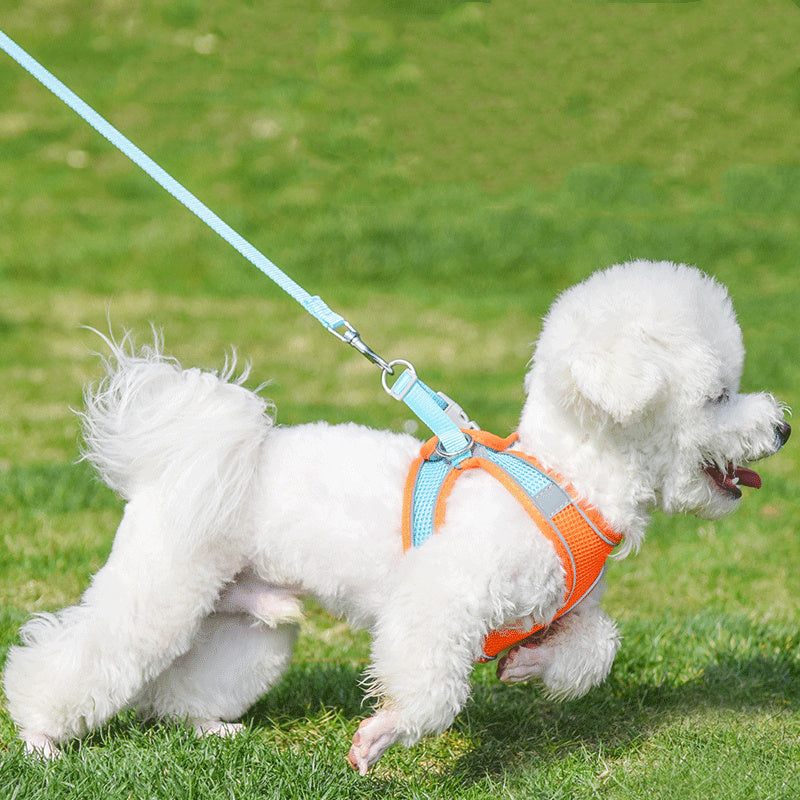Reflective Breathable Dog Hand Holding Rope Leash