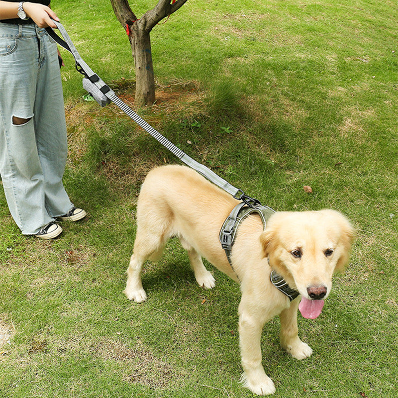 Explosion-proof Punch Elastic Retractable Dog Leash